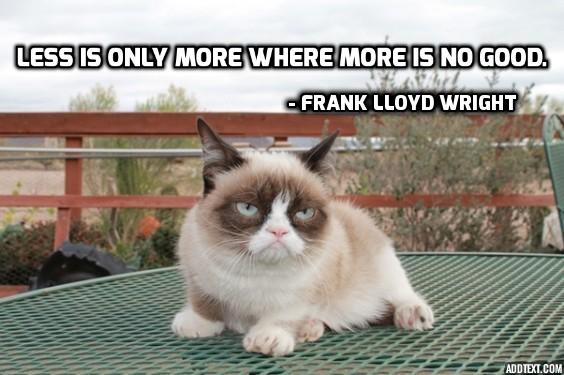 Frank Lloyd Wright, quote, architect quote, less is more, design, grumpy cat