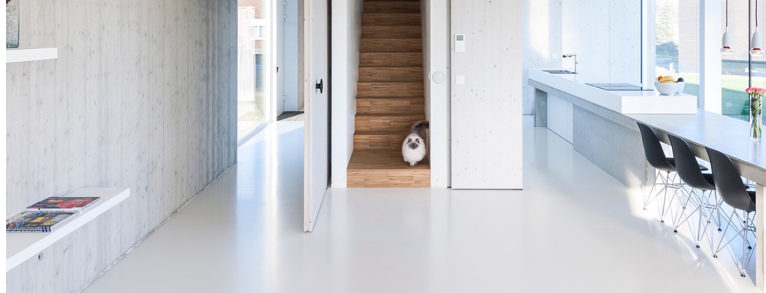Stealing the Show: Cats in Architectural Photography