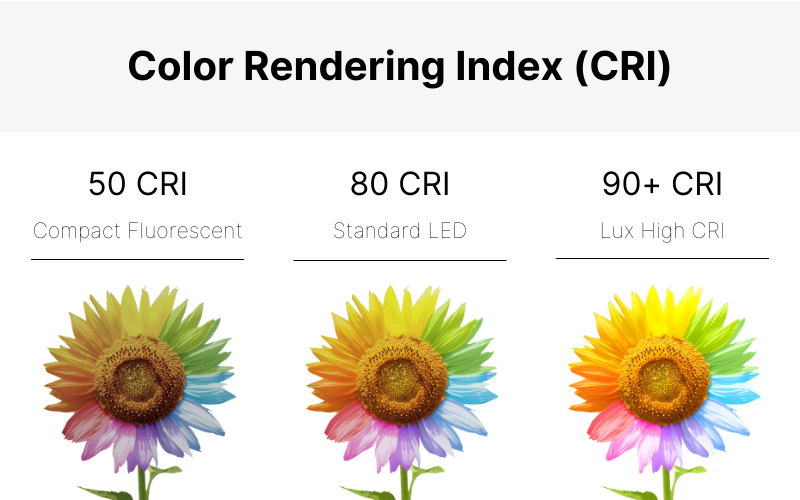 Color Rendering Index (CRI) infographic showing color rendering of a flower at 50, 80 and 90+