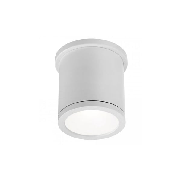 WAC FM-W2605 Tube Ceiling Mount Outdoor LED Light Fixture | 16 Watts 800 Lumens