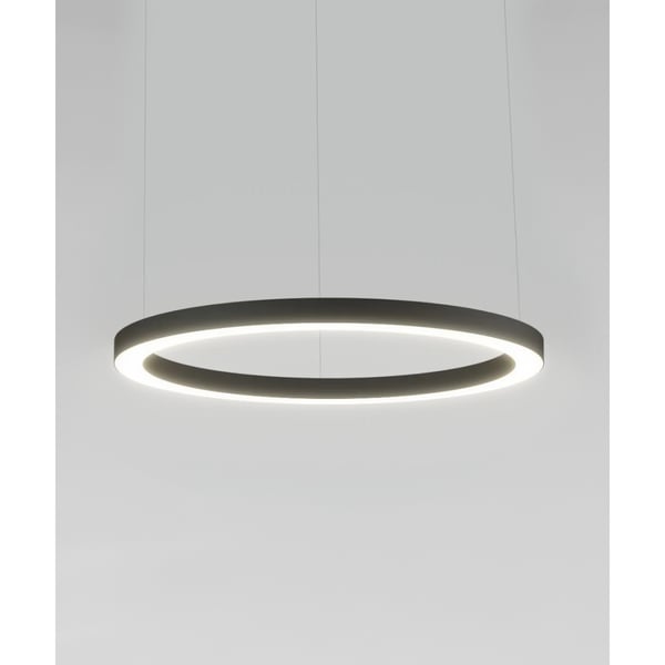 Large Round Chandelier Slim LED Ring Pendant Uplight or Downlight