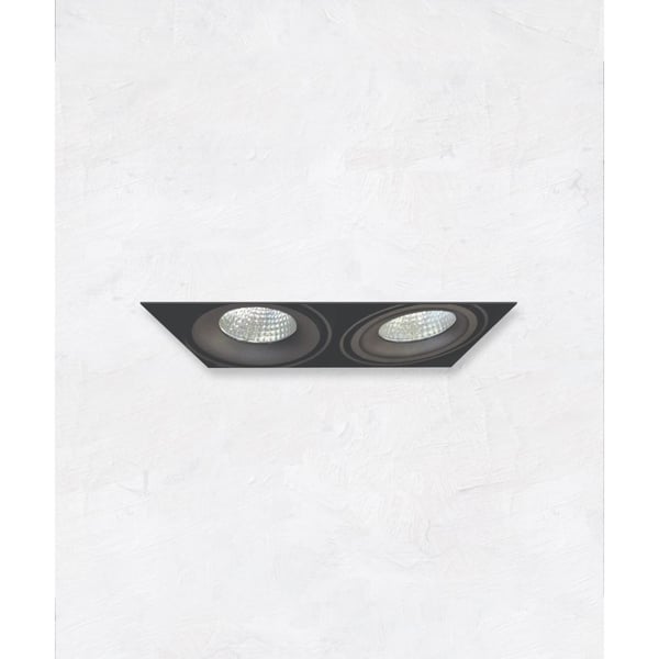 Alcon 14026-2 Oculare 2-Head Trimless Adjustable LED Recessed Light