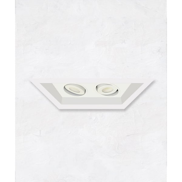 Alcon 14300-2 Oculare 2-Head Multiple Flanged Adjustable LED Recessed Light