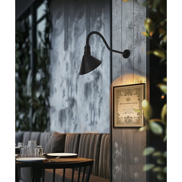 Outdoor Gooseneck LED Sign and Barn Light