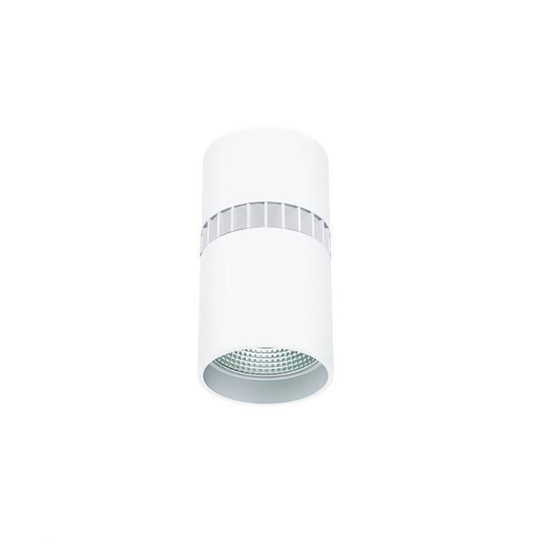 4-Inch LED Surface-Mounted Cylinder Ceiling Light