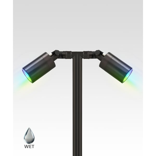 RGBW Color-Changing Dual-Head Directional LED Path Light