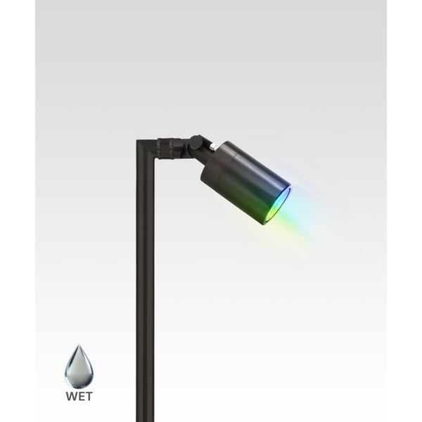 RGBW Color-Changing Single-Head Directional LED Path Light