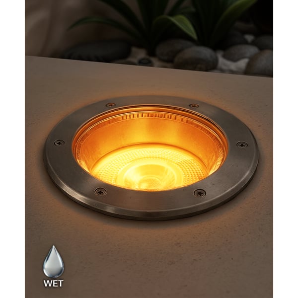 10-Inch Stainless Steel Turtle-Friendly LED Well Light