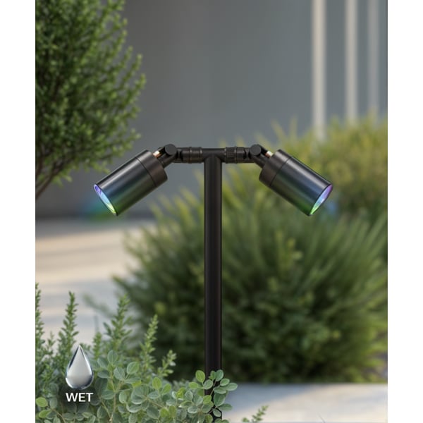 RGBW Color-Changing Dual-Head Directional LED Path Light
