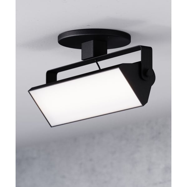 12-Inch Adjustable Swivel LED Wall Wash Monopoint Light