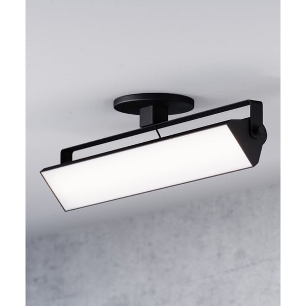 20-Inch Adjustable Swivel LED Wall Wash Monopoint Light