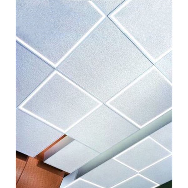 Light sales ceiling panel