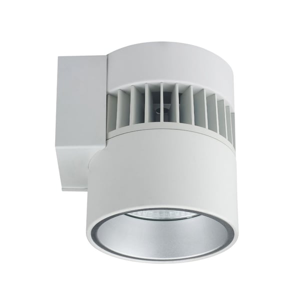 6-Inch LED Cylinder Wall Light