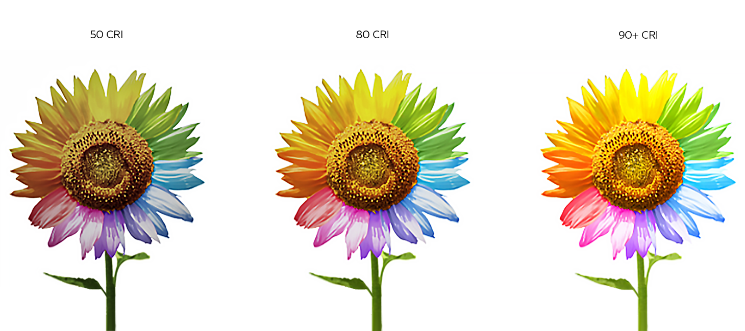 A color wheel flower at different levels of CRI