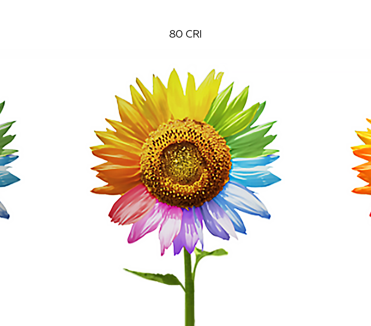 A color wheel flower at different levels of CRI