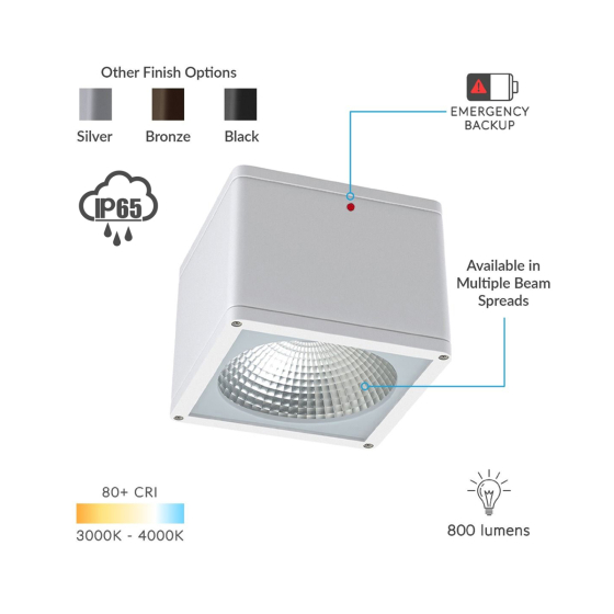 Alcon 11224-IEM Pavo Architectural LED 6 Inch Square Ceiling Light with Internal Emergency Backup