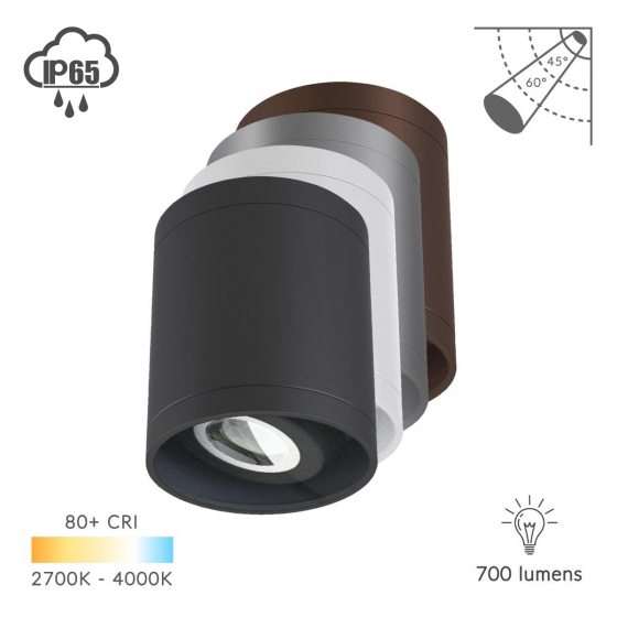 Alcon 11235-ADJ LED Cylinder Adjustable Ceiling Light