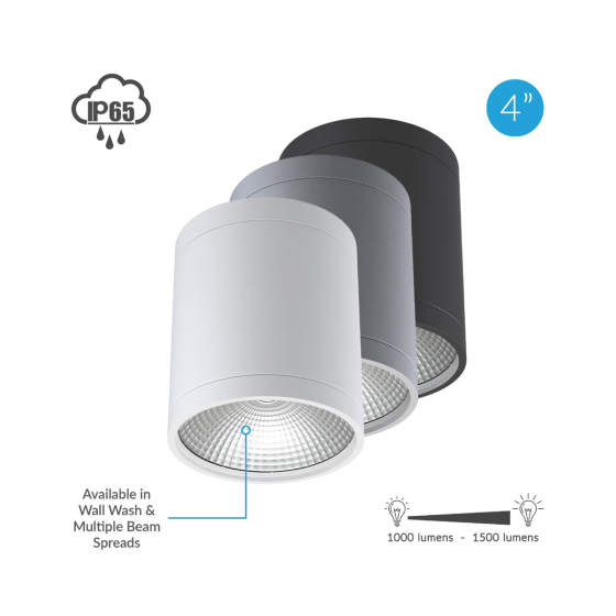 Alcon 11235-DIR LED Cylinder Ceiling Light