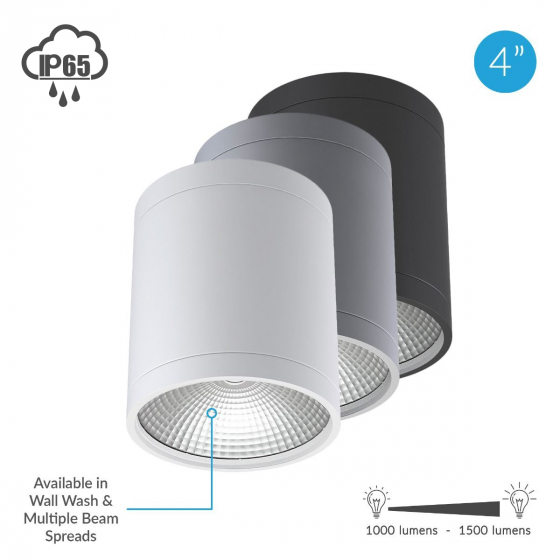 Alcon 11235-DIR LED Cylinder Ceiling Light