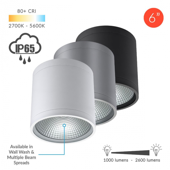Alcon 11236-DIR Pavo Architectural LED 6 Inch Cylinder Ceiling Light