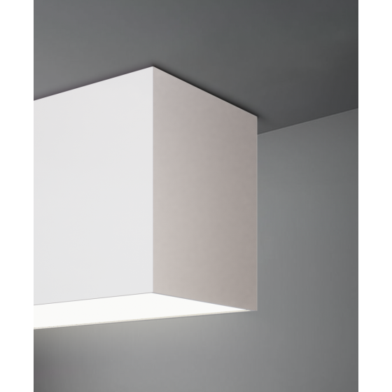 Alcon 12100-66-S, surface linear ceiling light shown in white finish and with a flush trim-less lens.