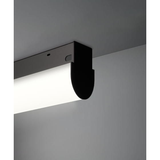 Alcon 12184-P, slim, round bottomed, suspended pendant light shown in satin black finish and with a side wrapping flushed lens.