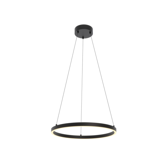 Product rendering of the 12235 LED ring pendant light by Alcon Lighting shown with a black finish.