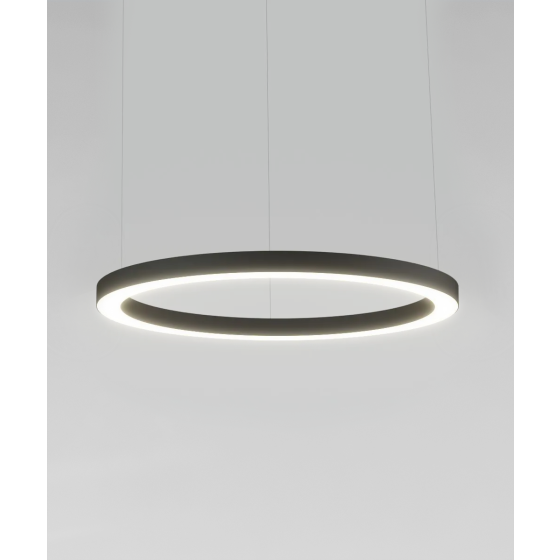 Close up product shot of the 12253 LED ring pendant light by Alcon Lighting, shown as a direct downlight with a black finish and aircraft cable suspension