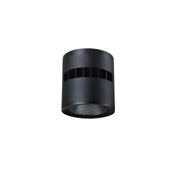8-Inch LED Cylinder Ceiling Light