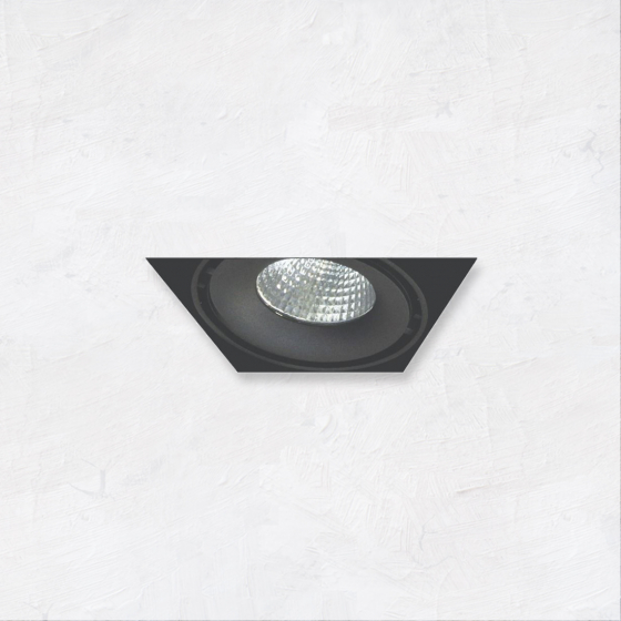 Alcon 14026-1 Oculare 1-Head Trimless Adjustable LED Recessed Light