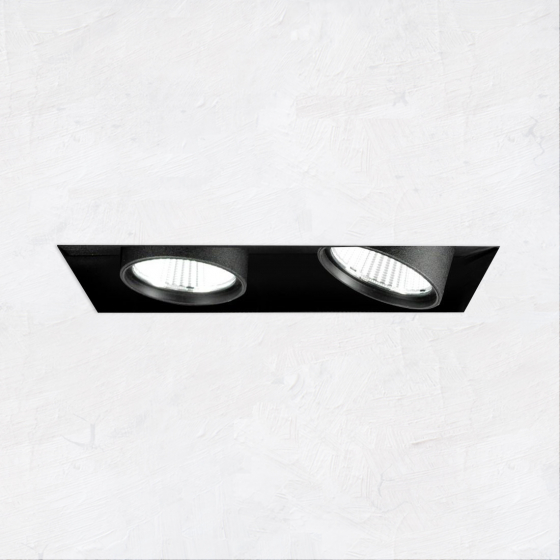 Alcon 14113-2 Oculare Architectural LED Adjustable 2-Head Pull-Down Fixture