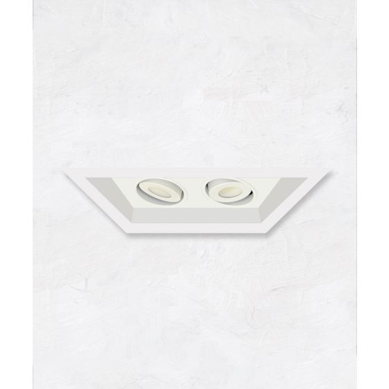 Alcon 14300-2 Oculare 2-Head Multiple Flanged Adjustable LED Recessed Light