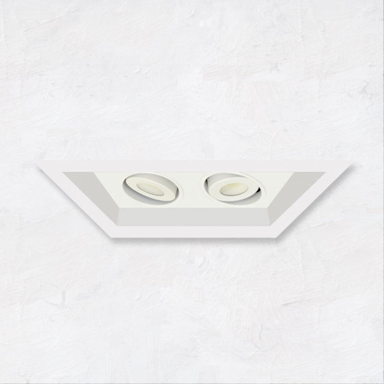 Alcon 14300-2 Oculare 2-Head Multiple Flanged Adjustable LED Recessed Light