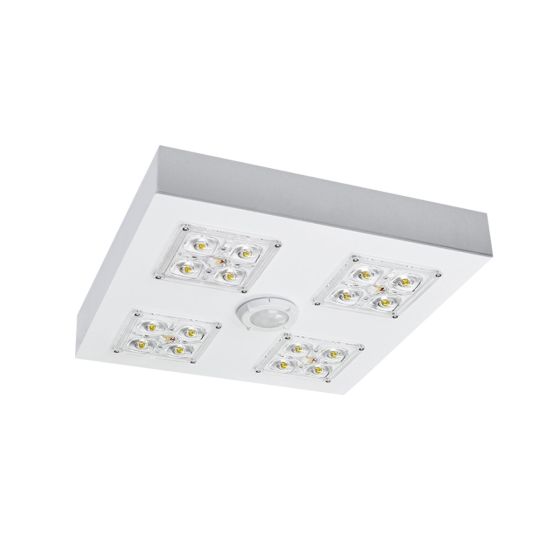 Alcon 16000 Low-Profile LED Canopy Light