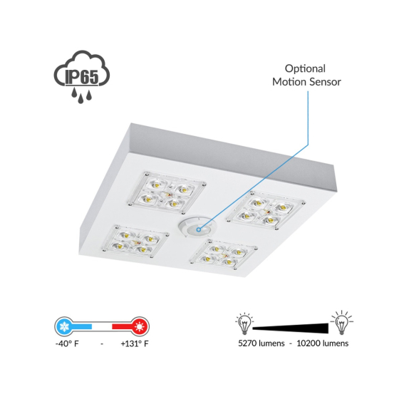 Alcon 16000 Low-Profile LED Canopy Light