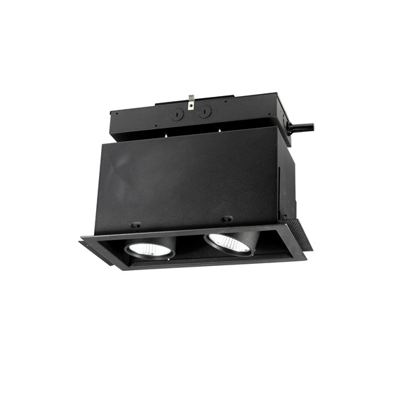 Alcon 14113-2 Oculare Architectural LED Adjustable 2-Head Pull-Down Fixture