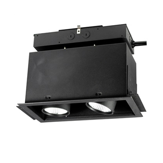 Alcon 14113-2 Oculare Architectural LED Adjustable 2-Head Pull-Down Fixture