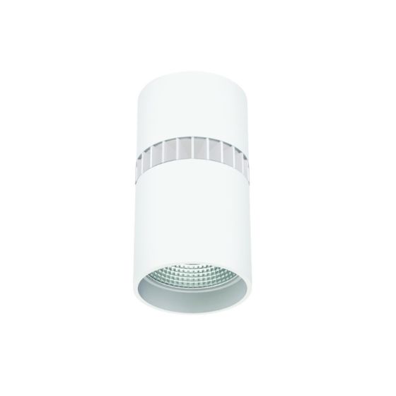 4-Inch LED Cylinder Surface Mount Light