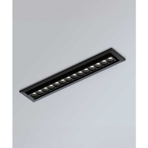 The 15301-5 mico-optic linear light pictured with black trim