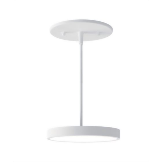 5-Inch LED Disk Light