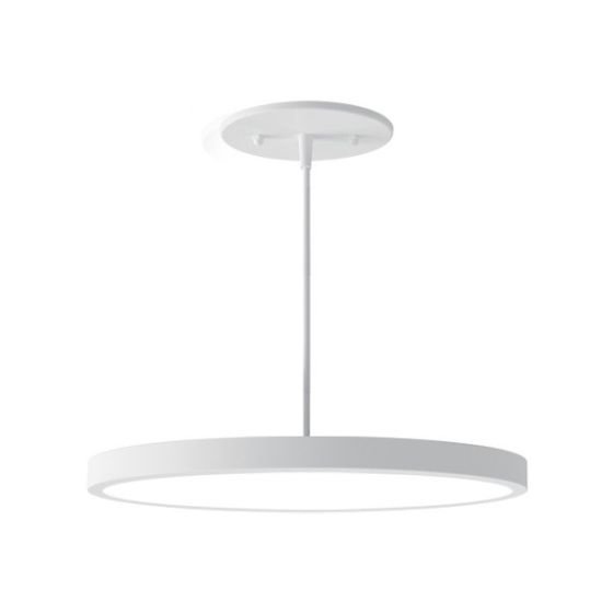12-Inch LED Disk Light