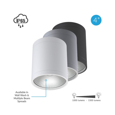 Alcon 11235-DIR LED Cylinder Ceiling Light