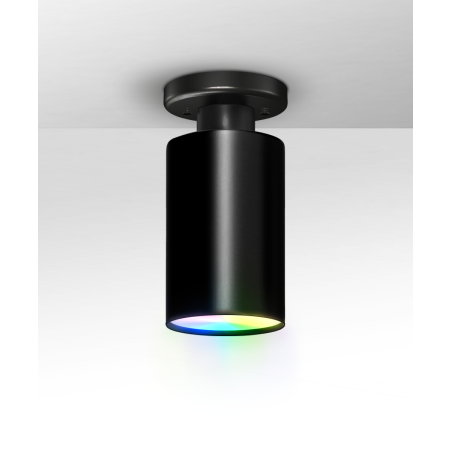 Alcon 12400-4S RGBW Color tunable pendant light shown in a black finish.