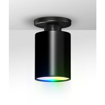 Alcon 12400-6S RGBW Color tunable pendant light shown in a black finish.
