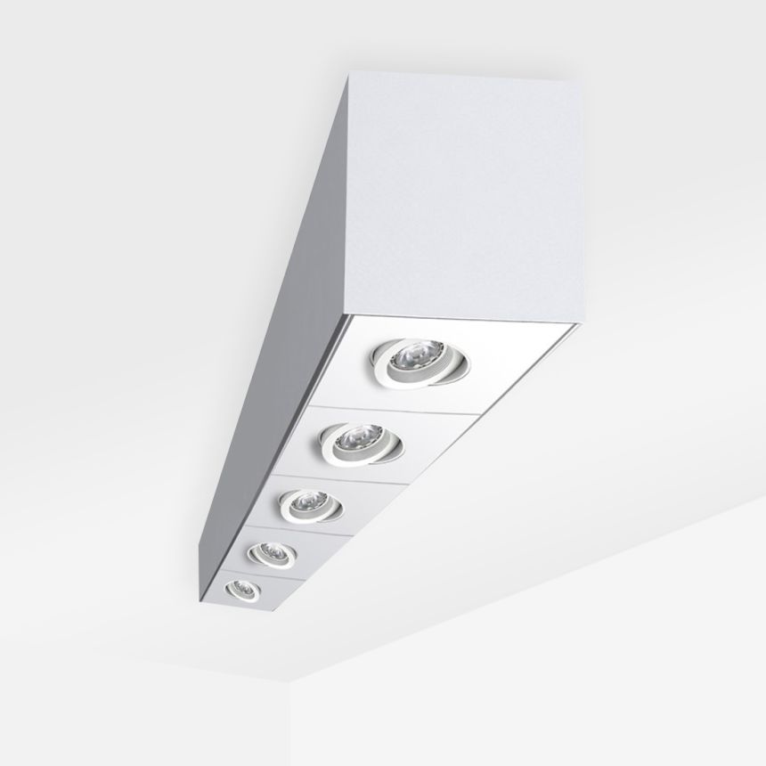 Alcon 11246-S Linear Surface-Mounted Adjustable Ceiling Spot Light Box 