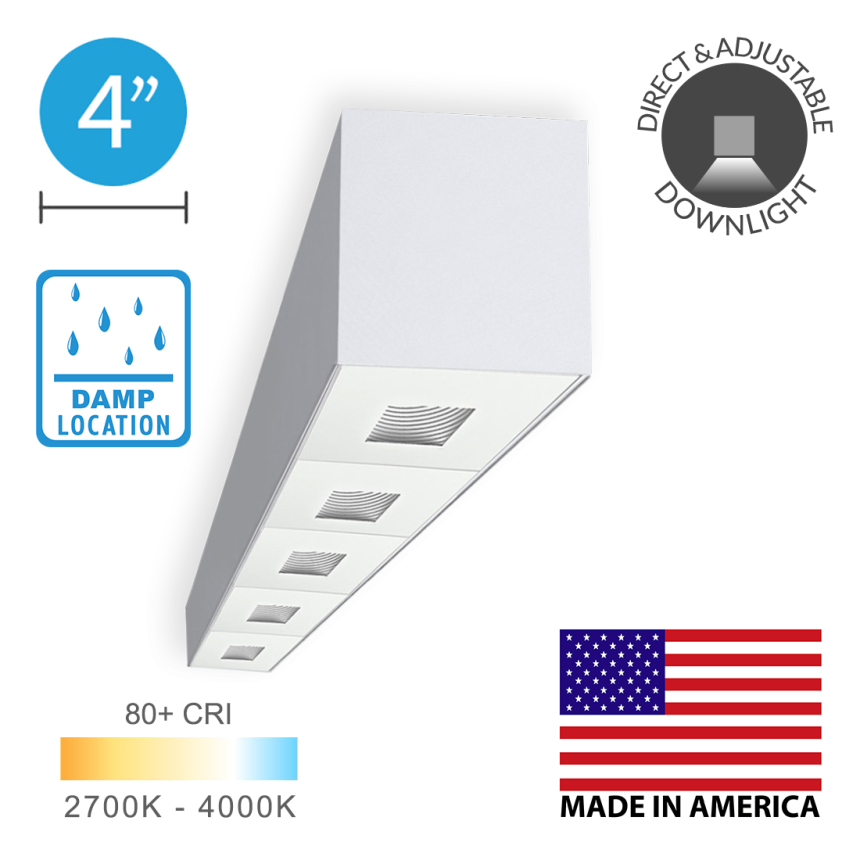 Alcon 11246-S Linear Surface-Mounted Adjustable Ceiling Spot Light Box 