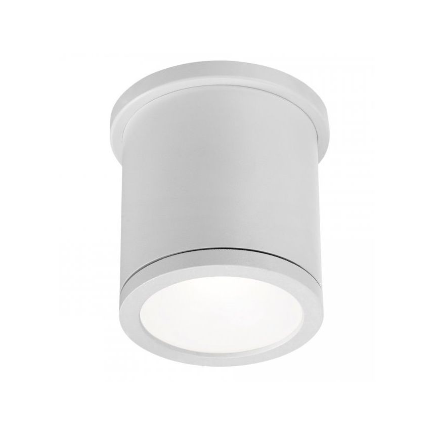 WAC FM-W2605 Tube Ceiling Mount Outdoor LED Light Fixture | 16 Watts 800 Lumens