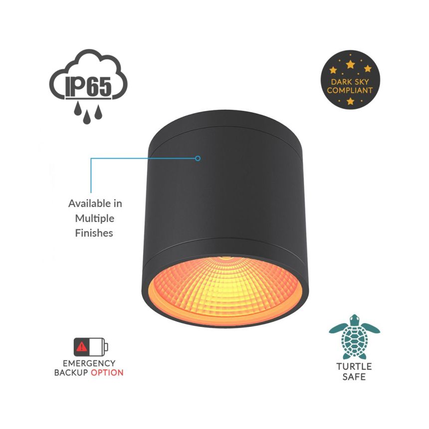 6-Inch Outdoor Turtle-Friendly LED Cylinder Light