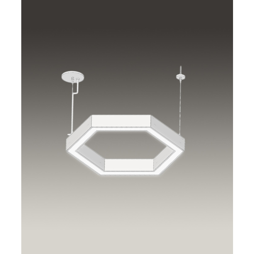 12175-P hexagon pendant light shown in a white finish and with a flush trimless lens with aircraft cable suspension