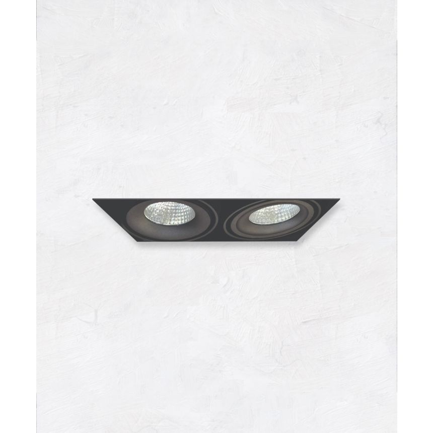 2-Head Multiple Trimless Adjustable LED Recessed Light